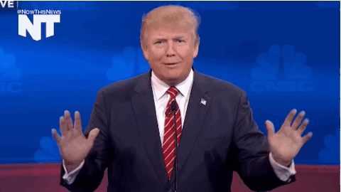 gallery-1446087937-trump1.gif