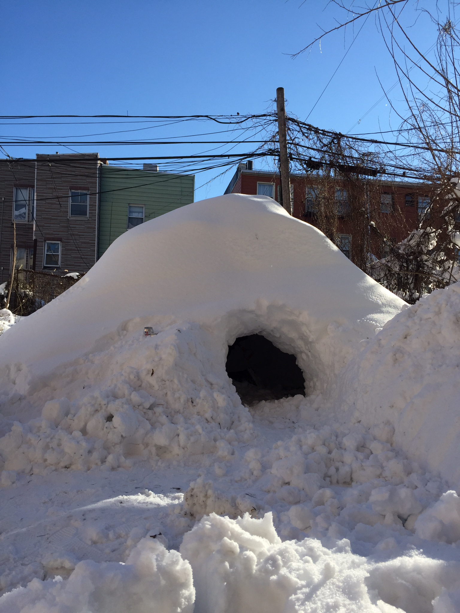 Brooklyn Man Rents HandBuilt Igloo on Airbnb
