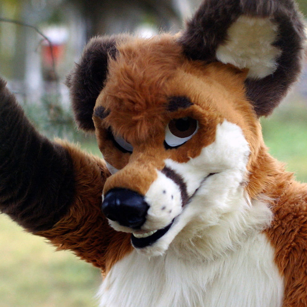 Realistic wolf costume for sale