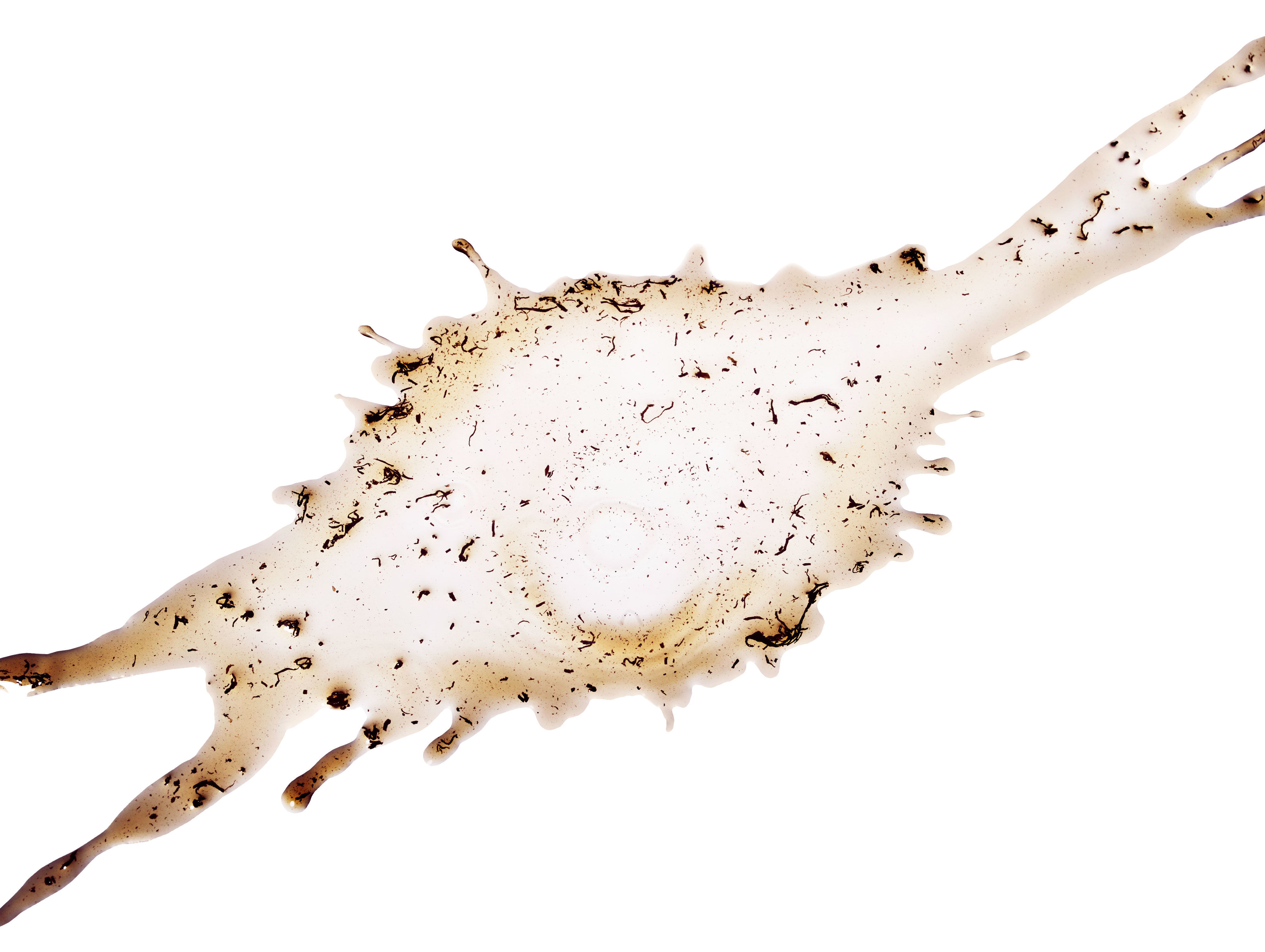 why do you spit chewing tobacco I Tried Chewing Tobacco For One Month, and Here's What I Learned