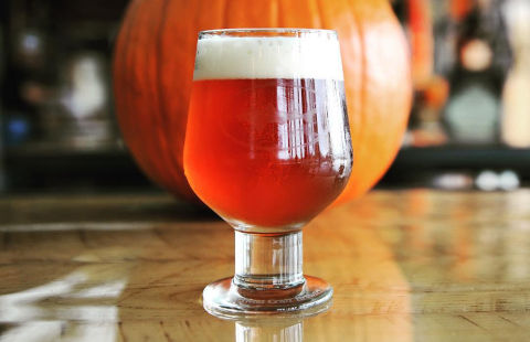 Dogfish head stock options