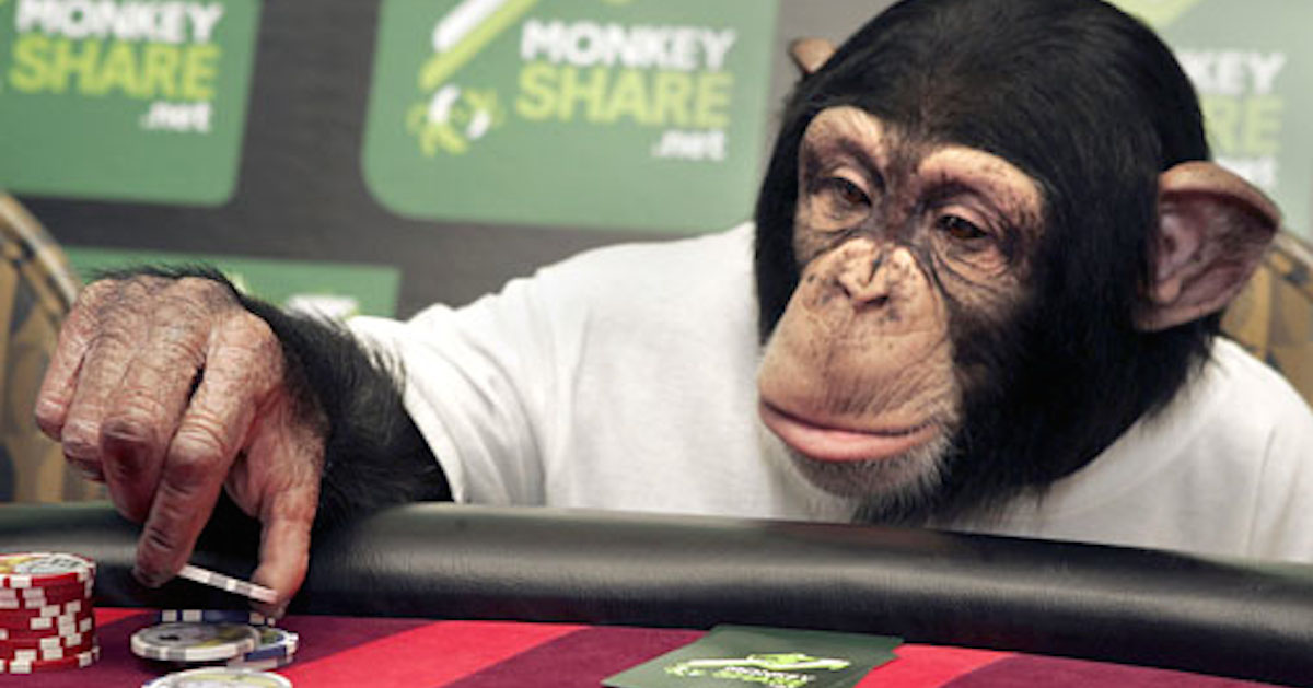 Gambling Monkeys Have Hot Hands Just Like Humans