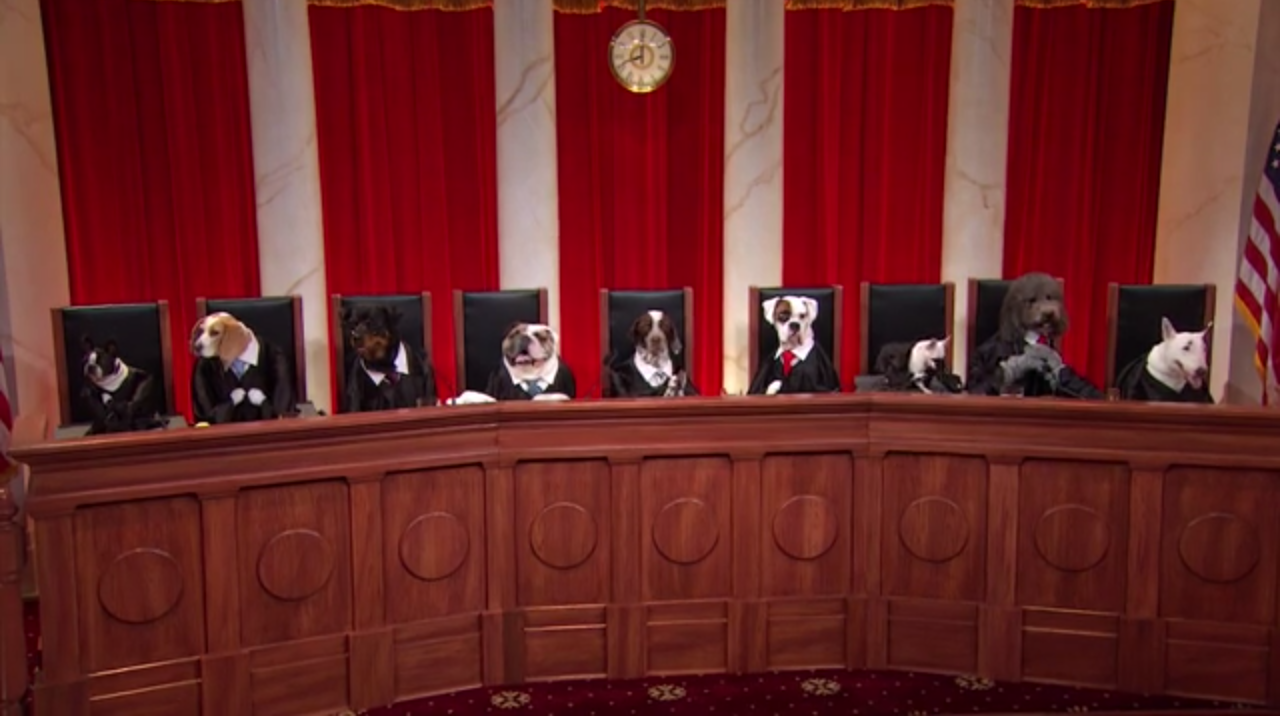 John Oliver's Supreme Court of Dogs is in Session John Oliver