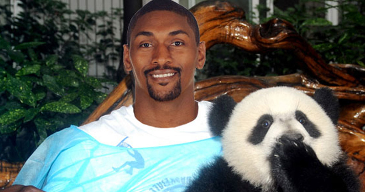 Metta World Peace Basketball Shoes The Panda�s Friend