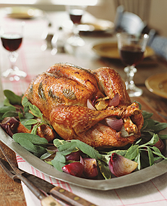 Quick and easy thanksgiving turkey recipes Quick and easy thanksgiving turkey recipes
